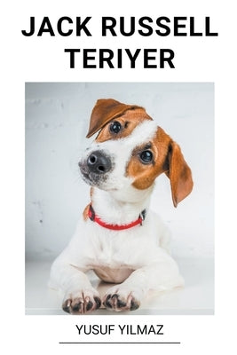 Jack Russell Teriyer by Yilmaz, Yusuf