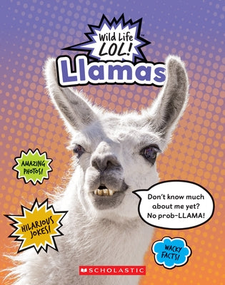 Llamas by Grunbaum, Mara