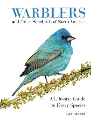 Warblers and Other Songbirds of North America: A Life-Size Guide to Every Species by Sterry, Paul