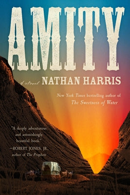 Amity by Harris, Nathan