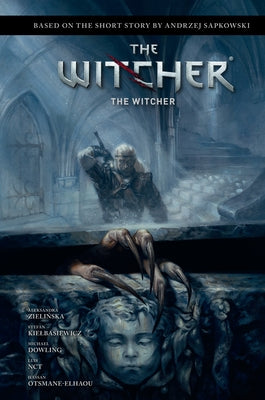 Andrzej Sapkowski's the Witcher: The Witcher by Sapkowski, Andrzej