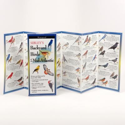 Sibley's Back. Birds of Mid-Atlantic by Sibley, David