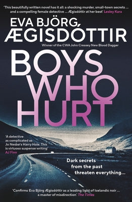 Boys Who Hurt: Volume 5 by &#195;&#134;gisd&#195;&#179;ttir, Eva Bj&#195;&#182;rg