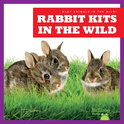 Rabbit Kits in the Wild by Chanez, Katie