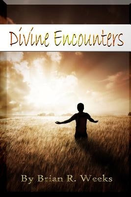 Divine Encounters by Weeks, Brian R.