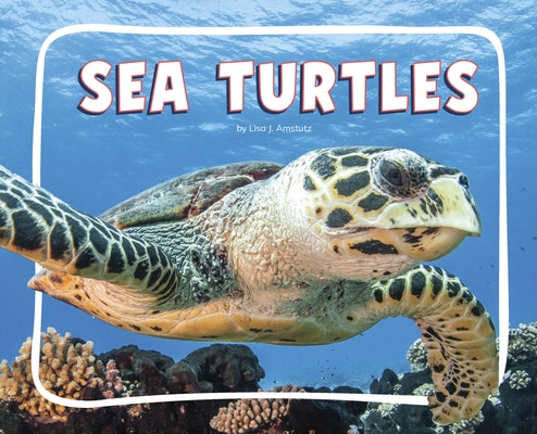 Sea Turtles by Amstutz, Lisa J.