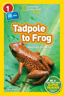 Tadpole to Frog (National Geographic Kids Readers, Level 1/Co-Reader): Animals Grow Up by Evans, Shira