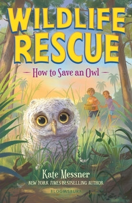 How to Save an Owl by Messner, Kate