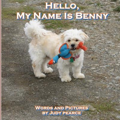 Hello, My Name Is Benny by Pearce, Judy