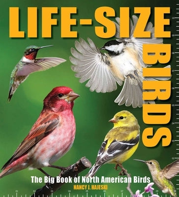 Life-Size Birds: The Big Book of North American Birds by Hajeski, Nancy J.