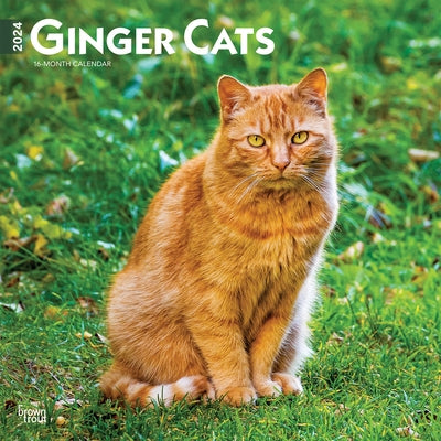 Ginger Cats 2024 Square by Browntrout