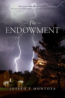 The Endowment by Montoya, Joseph F.