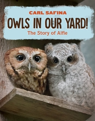 Owls in Our Yard!: The Story of Alfie by Safina, Carl