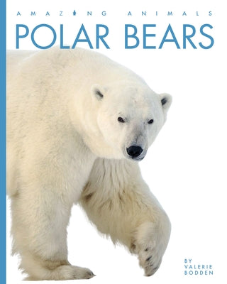 Polar Bears by Bodden, Valerie