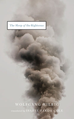 The Sleep of the Righteous by Hilbig, Wolfgang