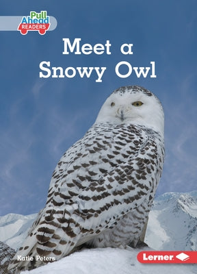 Meet a Snowy Owl by Peters, Katie