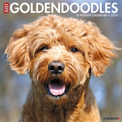 Just Goldendoodles 2024 12 X 12 Wall Calendar by Willow Creek Press