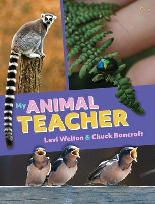 My Animal Teacher by Welton, Levi