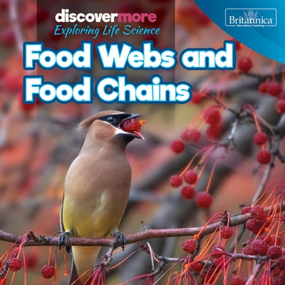 Food Webs and Food Chains by Brazzos, Ernest