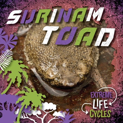 Surinam Toad by Andrews, E. C.