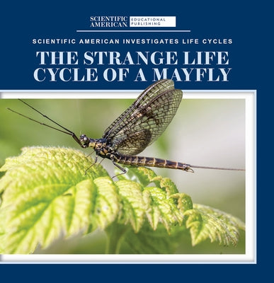 The Strange Life Cycle of a Mayfly by McDougal, Anna