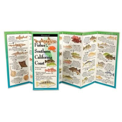 Fishes of Southern California Coast by Kells, Val