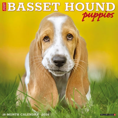 Just Basset Hound Puppies 2024 12 X 12 Wall Calendar by Willow Creek Press