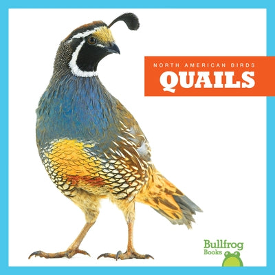 Quails by Grack, Rachel