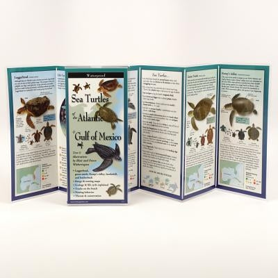 Sea Turtles of the Atlantic & Gulf of Mexico by Witherington, Blair