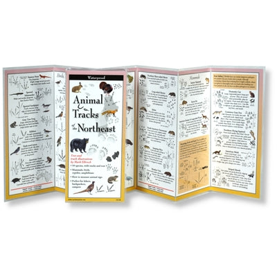 Animal Tracks of the Northeast by Elbroch, Mark