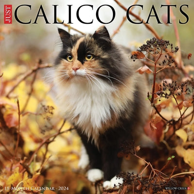 Just Calico Cats 2024 12 X 12 Wall Calendar by Willow Creek Press