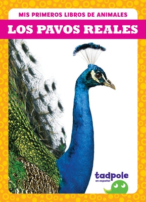 Los Pavos Reales (Peacocks) by Deniston, Natalie
