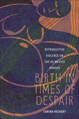 Birth in Times of Despair: Reproductive Violence on the Us-Mexico Border by Heckert, Carina