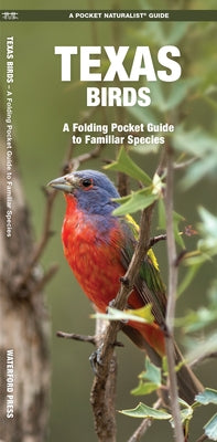 Texas Birds: A Folding Pocket Guide to Familiar Species by Kavanagh, James