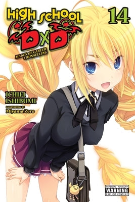 High School DXD, Vol. 14 (Light Novel): Mages of Career Counselling by Ishibumi, Ichiei