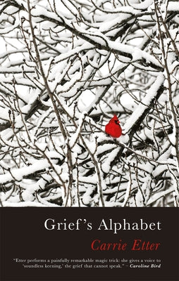 Grief's Alphabet by Etter, Carrie