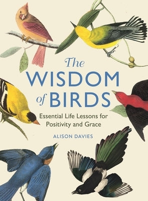 The Wisdom of Birds: Essential Life Lessons for Positivity and Grace by Davies, Alison