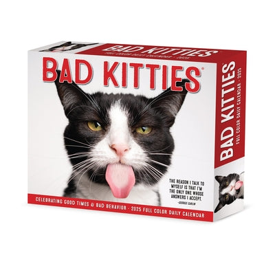 Bad Kitties 2025 6.2 X 5.4 Box Calendar by Willow Creek Press