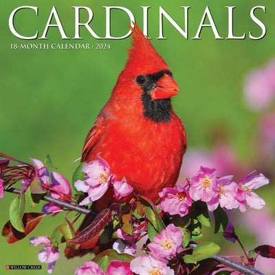 Cardinals 2024 12 X 12 Wall Calendar by Willow Creek Press