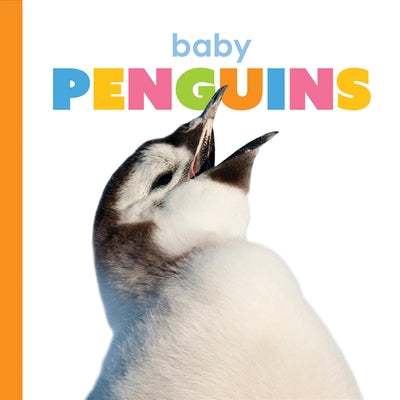 Baby Penguins by Riggs, Kate