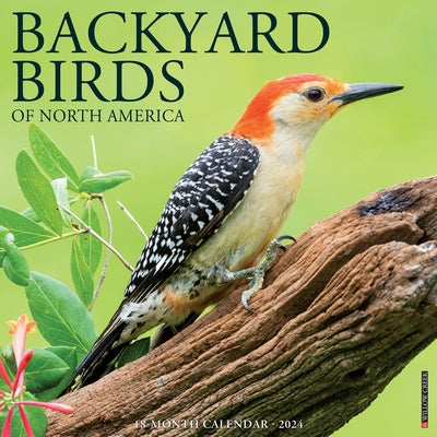 Backyard Birds 2024 12 X 12 Wall Calendar by Willow Creek Press