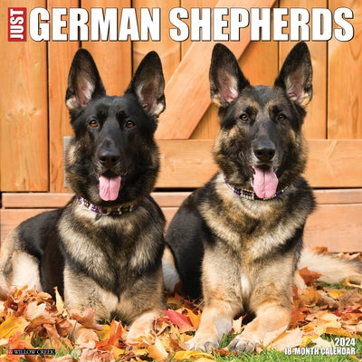 Just German Shepherds 2024 12 X 12 Wall Calendar by Willow Creek Press