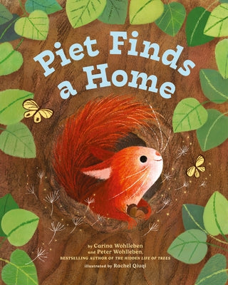 Piet Finds a Home by Wohlleben, Peter