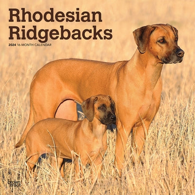 Rhodesian Ridgebacks 2024 Square by Browntrout