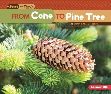 From Cone to Pine Tree by Carlson-Berne, Emma