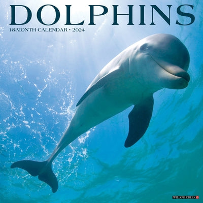 Dolphins 2024 12 X 12 Wall Calendar by Willow Creek Press