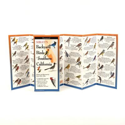 Sibley's Back. Birds of Southern California by Sibley, David Allen