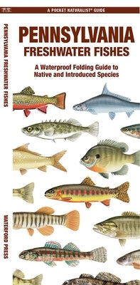 Pennsylvania Freshwater Fishes: A Folding Guide to Native and Introduced Species by Waterford Press