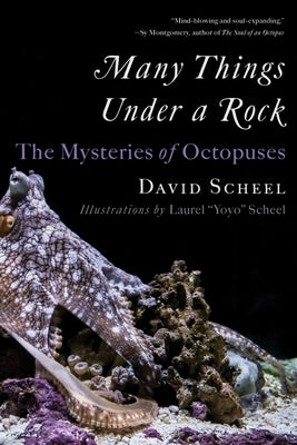 Many Things Under a Rock: The Mysteries of Octopuses by Scheel, David