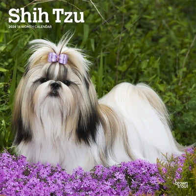 Shih Tzu 2024 Square by Browntrout